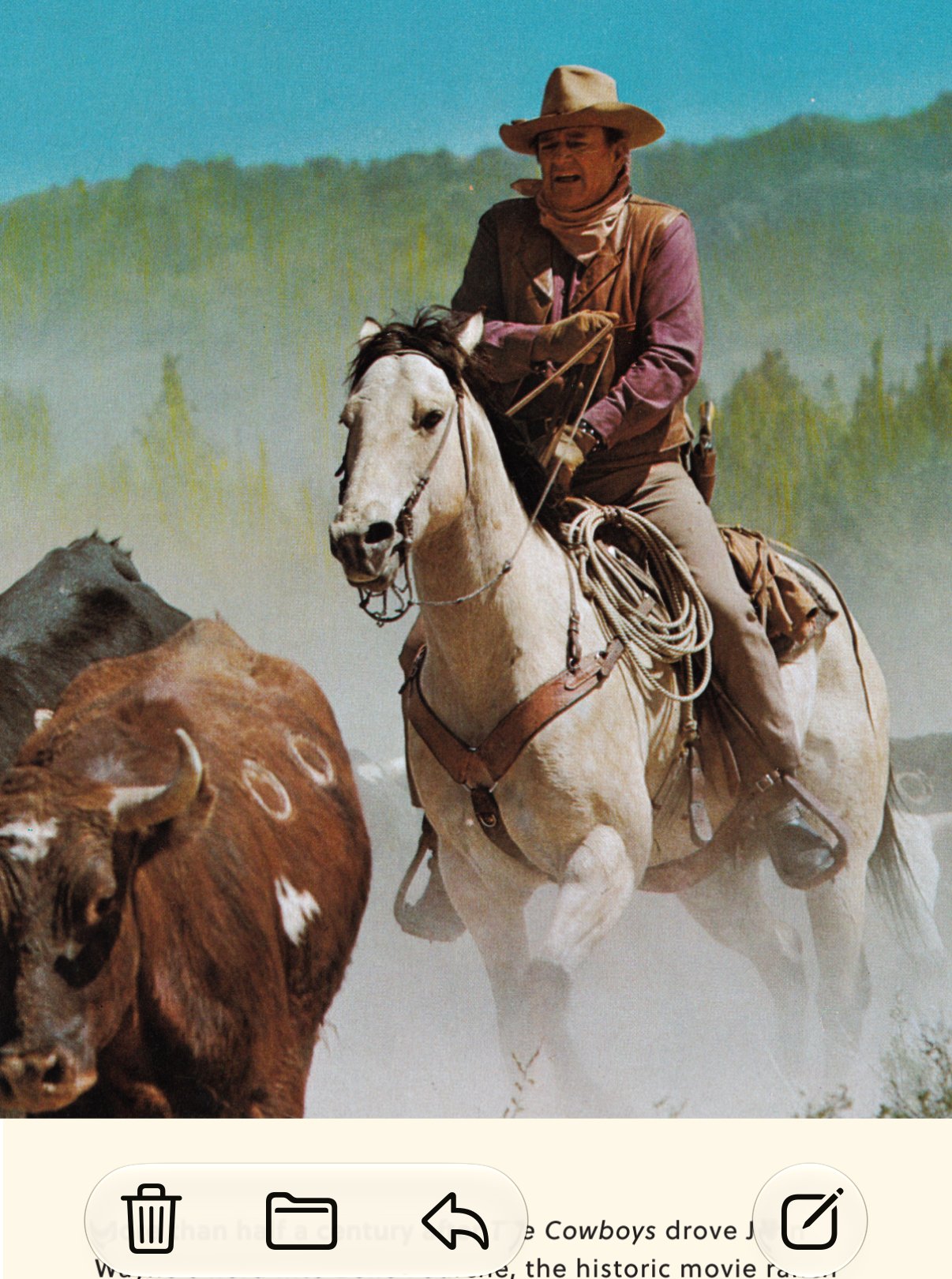 John Wayne on a white horse driving cattle